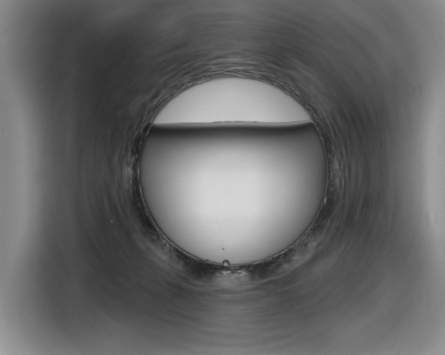 X0000116630271200912111007