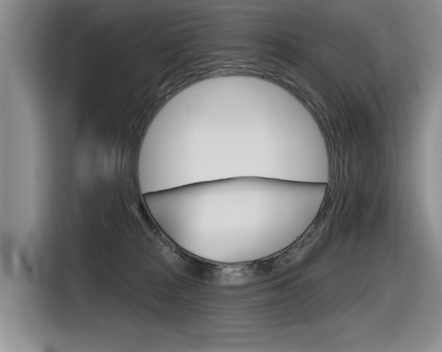 X0000116630277200912111007
