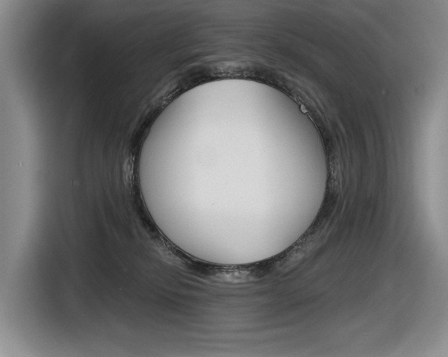 X0000116630278200912111007