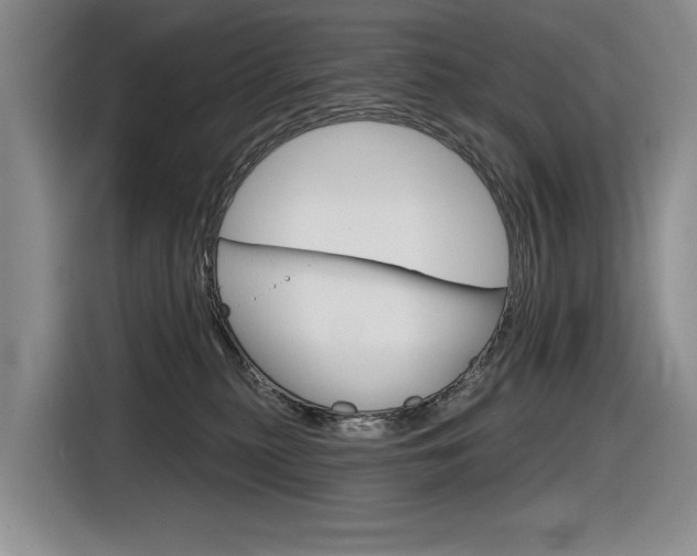 X0000116630279200912111007