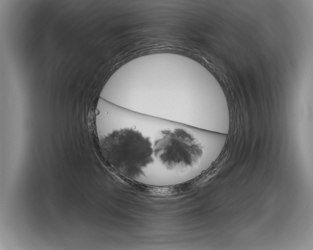 X0000116630281200912111007