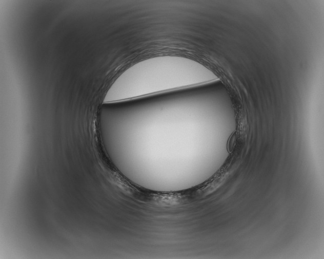 X0000116630282200912111007