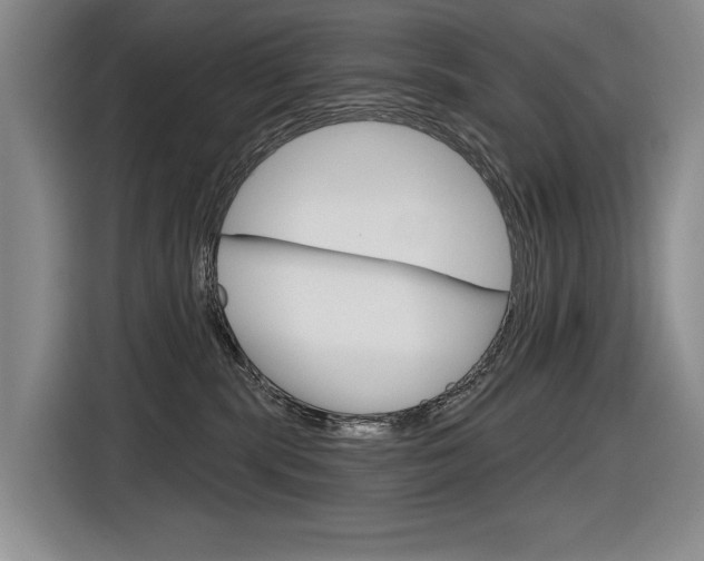 X0000116630283200912111007