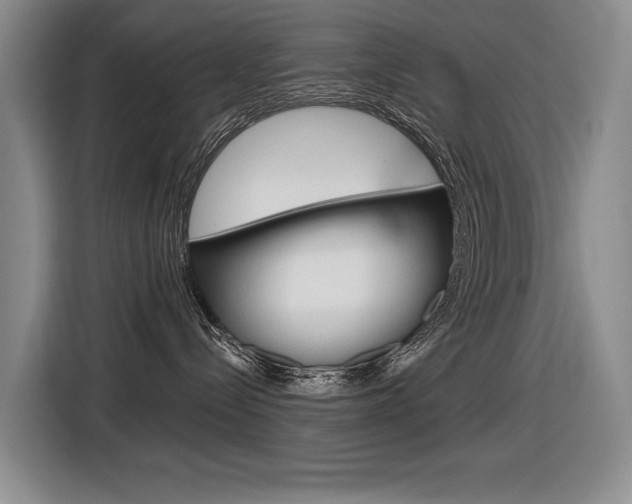 X0000116630288200912111007
