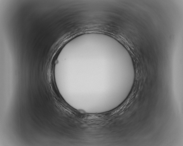 X0000116630290200912111006