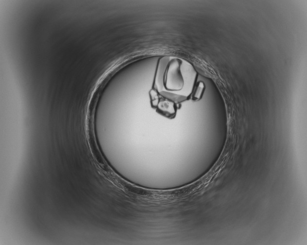X0000116630292200912111006