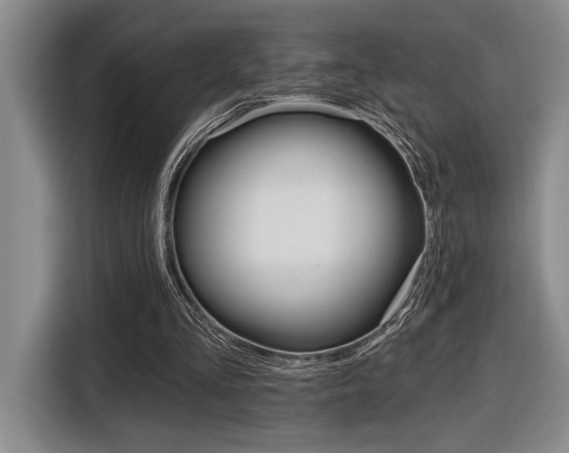 X0000116630293200912111006