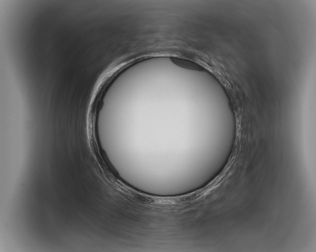 X0000116630294200912111006