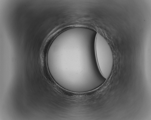 X0000116630295200912111006