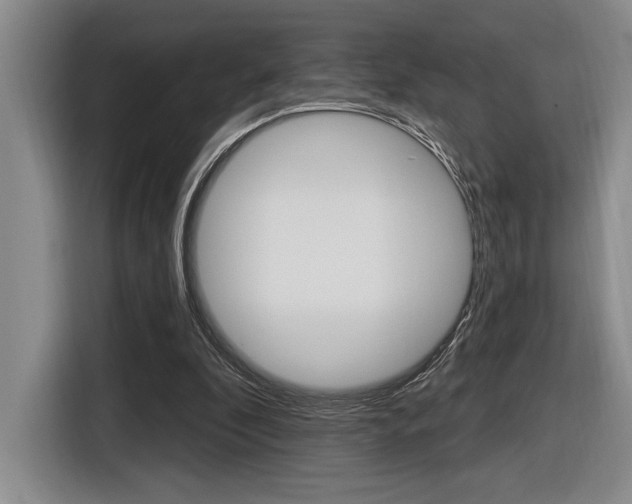 X0000116630296200912111006