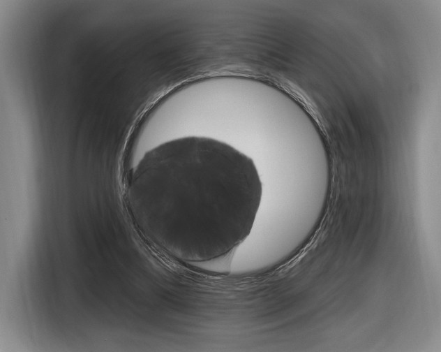 X0000116630298200912111006