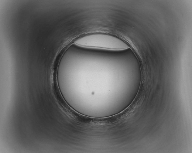 X0000116630299200912111006