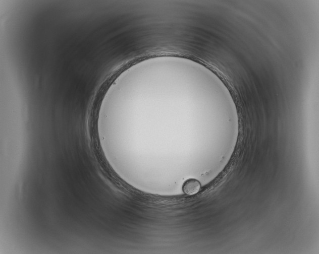 X0000116630302200912111006