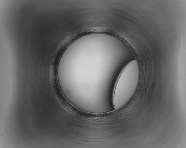 X0000116630303200912111006