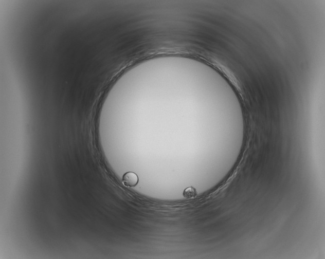 X0000116630305200912111006