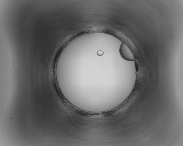 X0000116630306200912111006