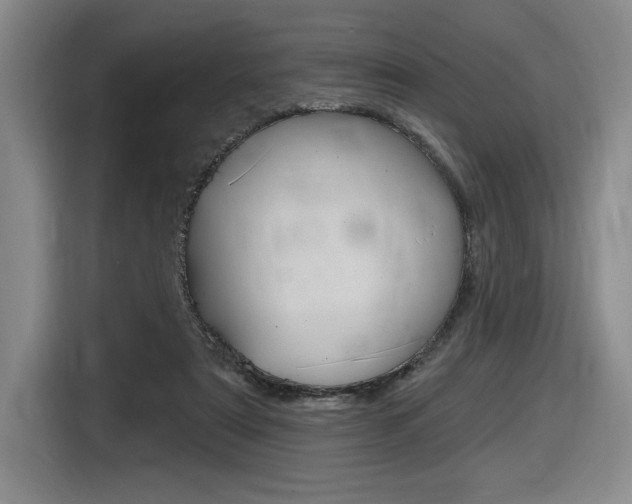X0000116630307200912111006