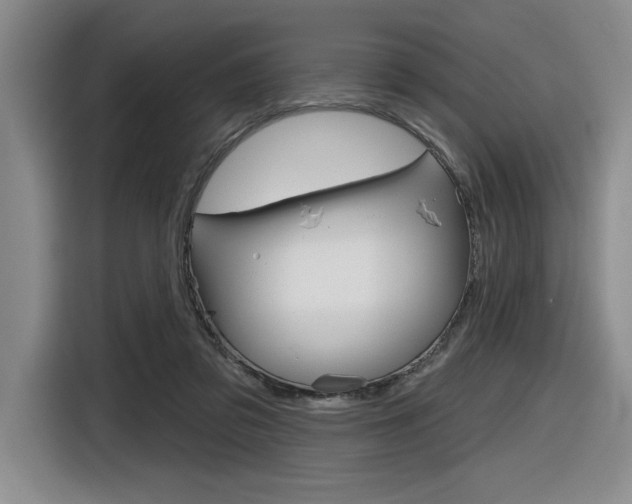 X0000116630309200912111006
