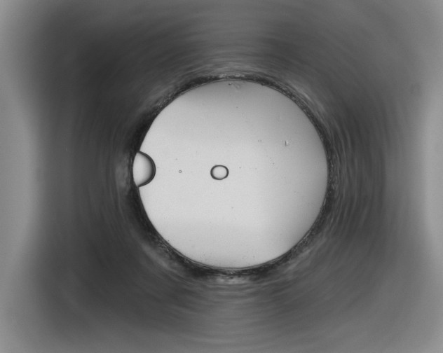 X0000116630311200912111006