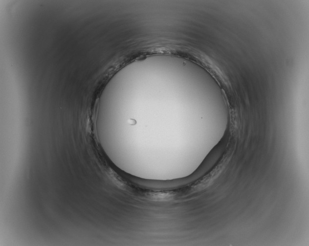 X0000116630313200912111006