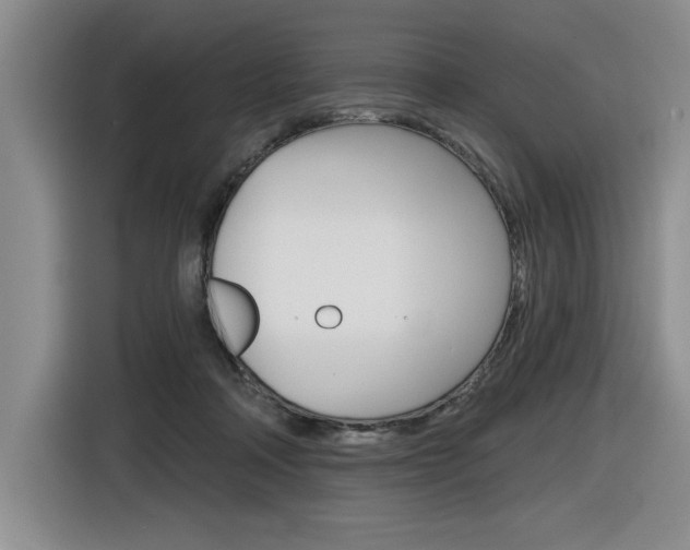X0000116630314200912111006