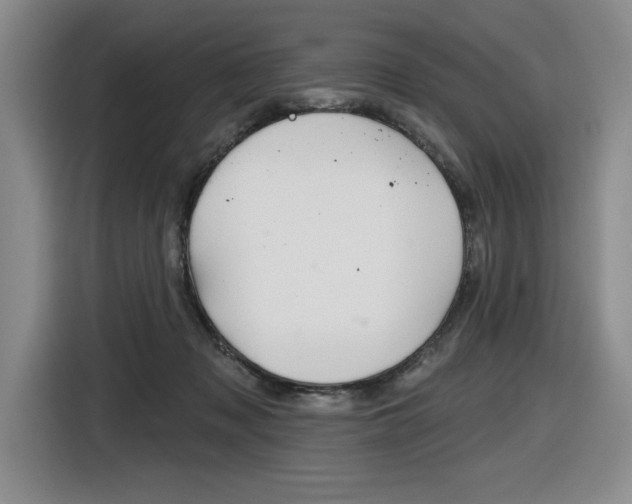 X0000116630317200912111006