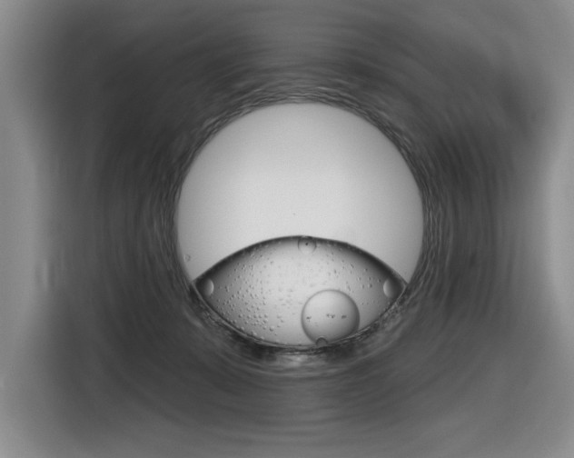 X0000116630319200912111006