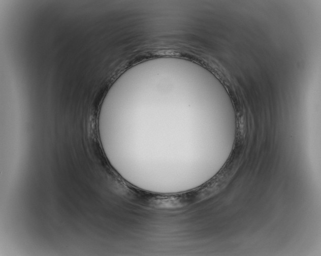 X0000116630322200912111006
