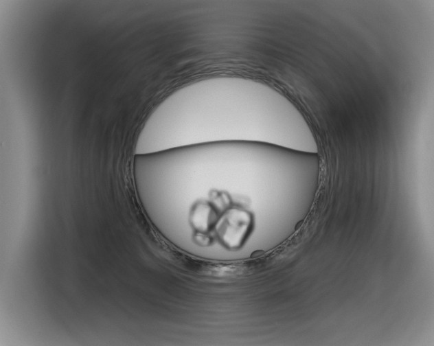 X0000116630323200912111006