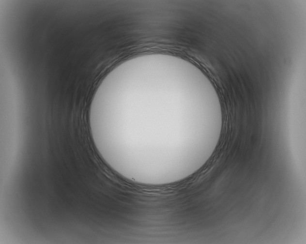 X0000116630325200912111006