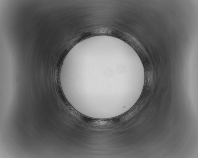 X0000116630326200912111006