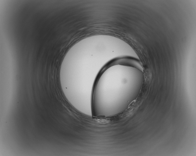 X0000116630327200912111006