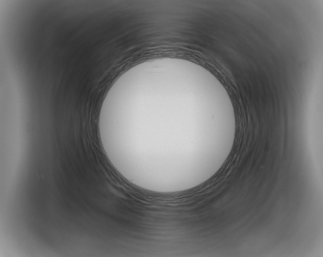 X0000116630328200912111006