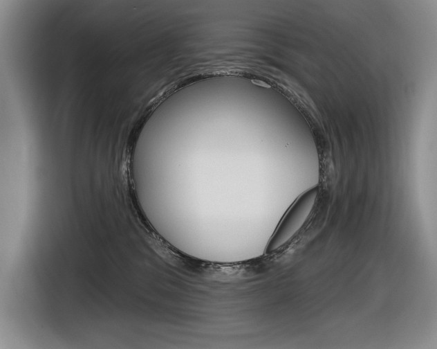 X0000116630329200912111006