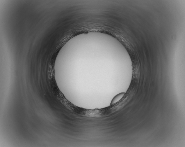 X0000116630334200912111006