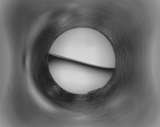 X0000116630335200912111006