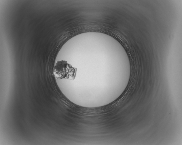 X0000116630336200912111006