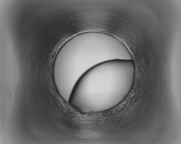 X0000116630337200912111005