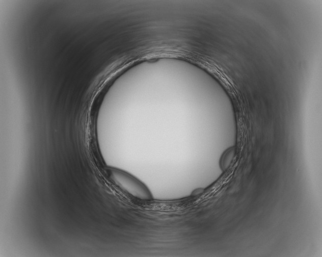 X0000116630338200912111005