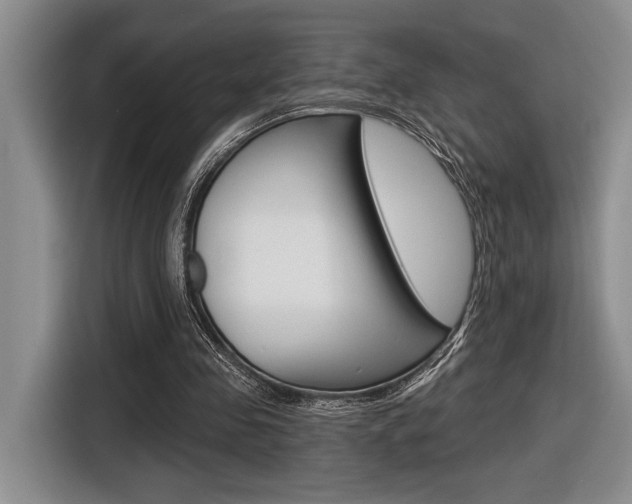 X0000116630341200912111005