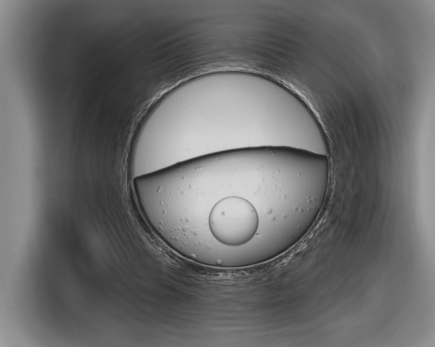 X0000116630345200912111005