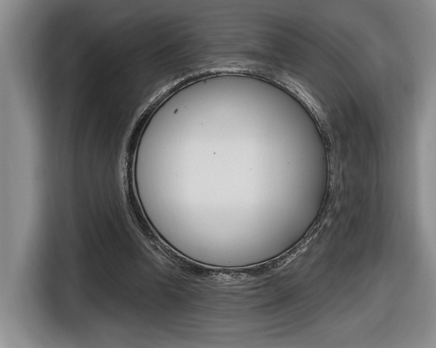 X0000116630346200912111005