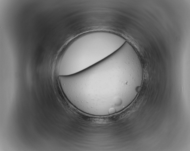 X0000116630347200912111005