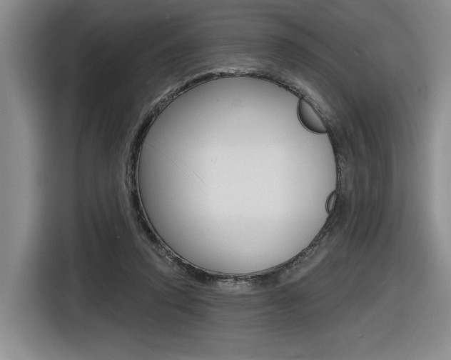 X0000116630354200912111005