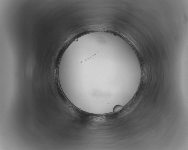 X0000116630355200912111005