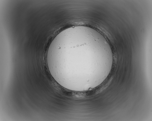 X0000116630359200912111005