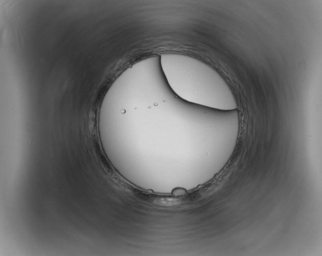X0000116630361200912111005