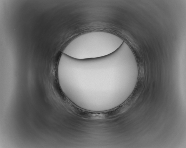 X0000116630363200912111005