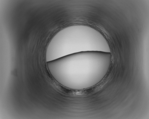 X0000116630365200912111005