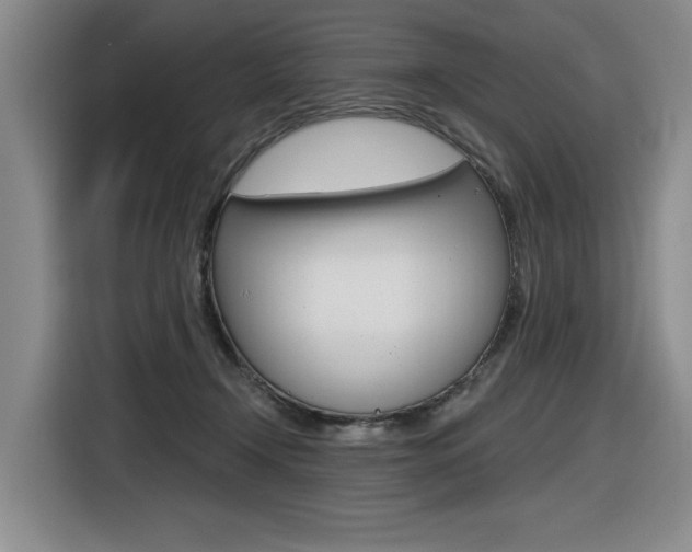 X0000116630366200912111005